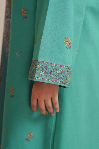 3 Piece - Unstitched - Printed & Embroidered Khaddar Suit - C6379